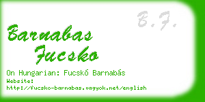 barnabas fucsko business card