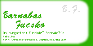 barnabas fucsko business card